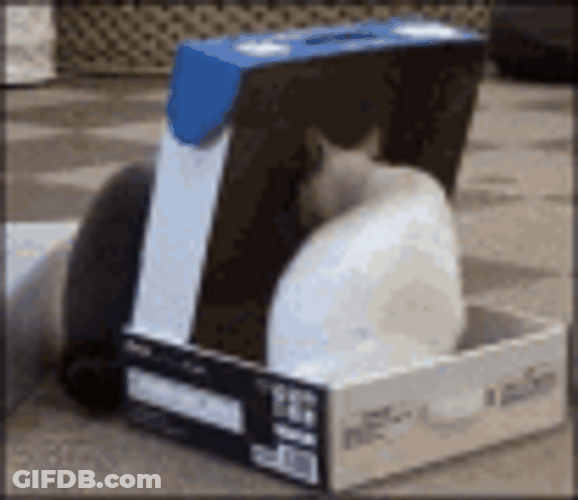 Funny It's A Cat Trap Box GIF