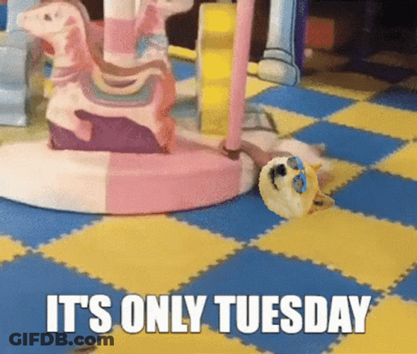 Funny It's Only Tuesday Bitcoin Face Swap Meme GIF