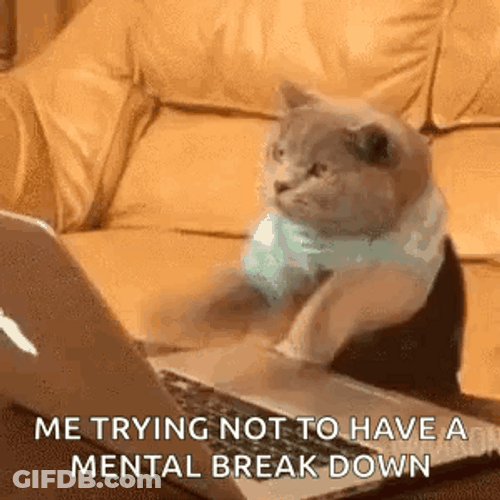 Funny It's Only Tuesday Kitty Flipping Out GIF