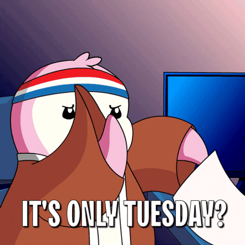 Funny It's Only Tuesday Mad Pudgy Penguin GIF