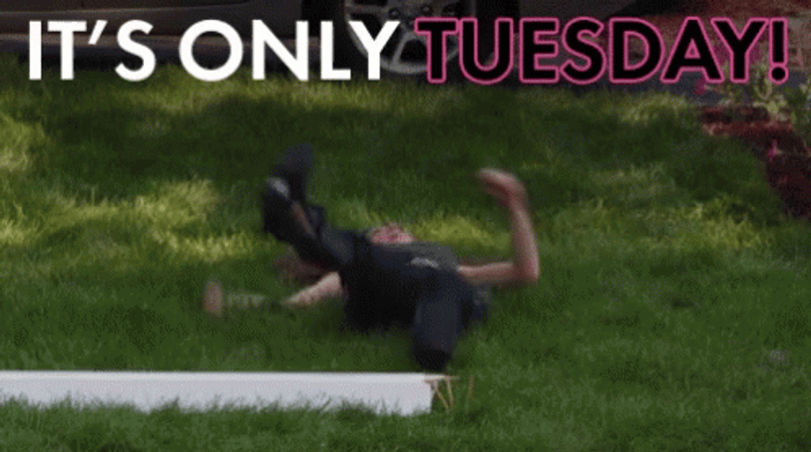 Funny It's Only Tuesday Rap Krúbi Having Tantrum GIF