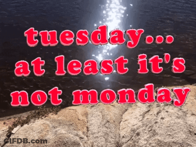 Funny It's Only Tuesday Water Mobile Design GIF