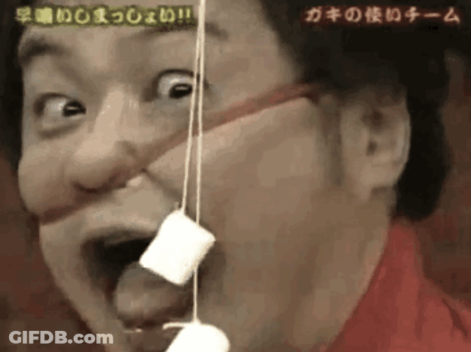 Funny Japanese Game Show GIF