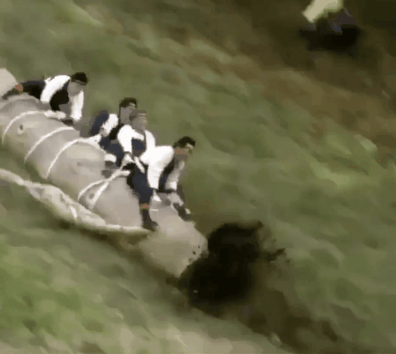 Funny Japanese Sports Log Jammer GIF