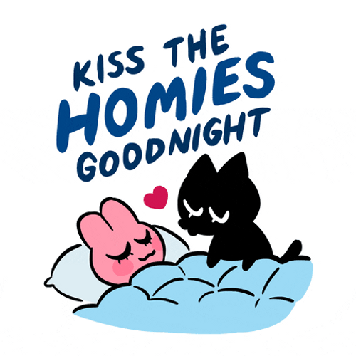 Funny Kawaii Cat Goodnight Kiss GIF