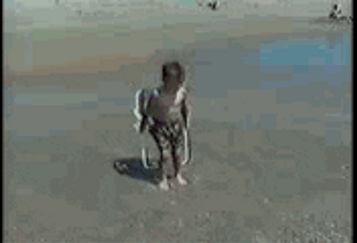 Funny Kid Beach Wave Fail GIF