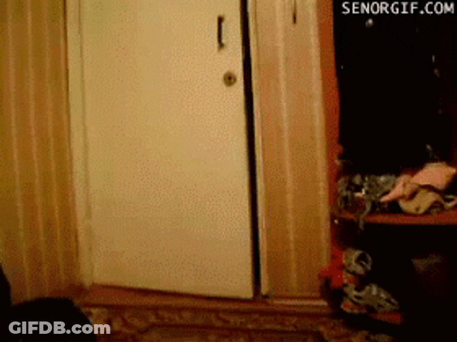 Funny Kid Tripped At Home Front Door GIF