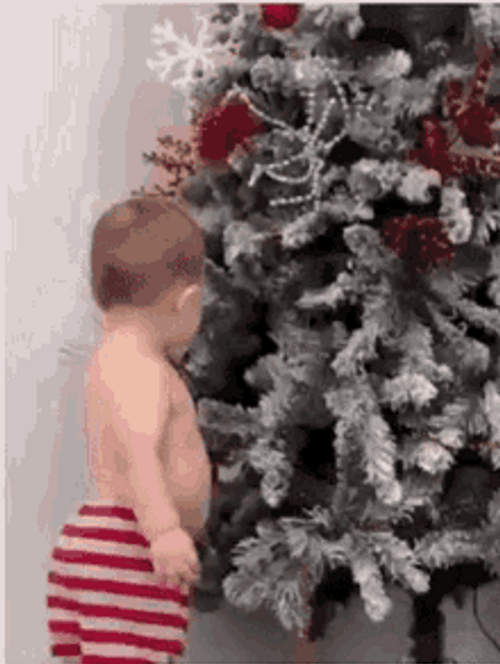 Funny Kid With Christmas Tree GIF