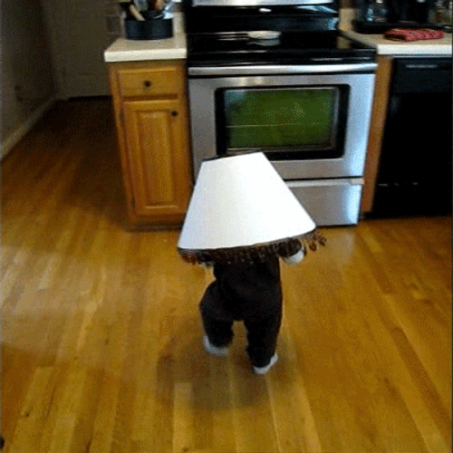 Funny Lamp Shade Baby GIF