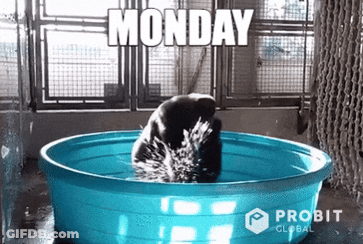 Funny Make Gorilla Spinning Monkey GIF