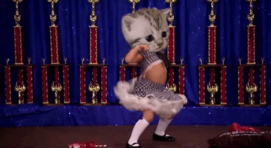 Funny Mascot Cat Breakdancing GIF
