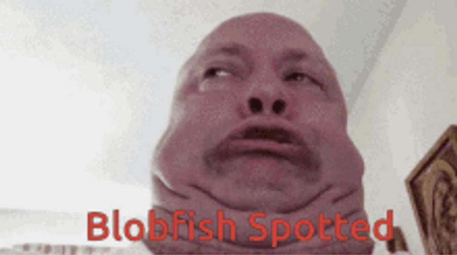 Funny Meme Double Chin Blobfish Spotted GIF