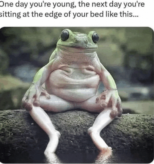 Funny Meme Meme GIF