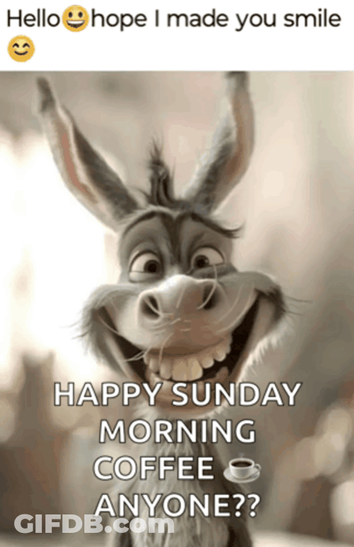 Funny Memes Happy Sunday Meme GIF