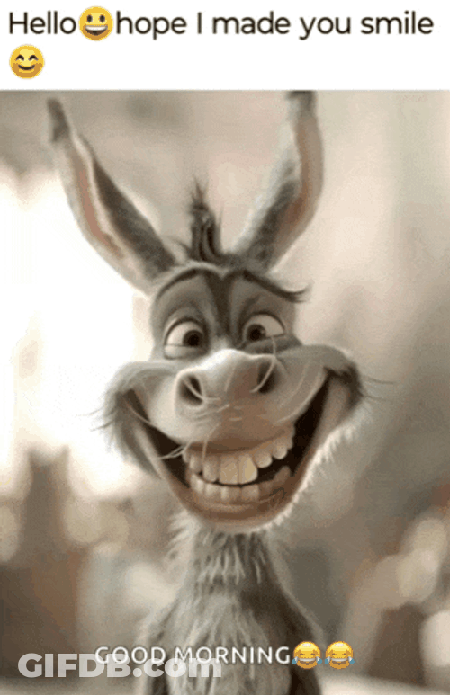 Funny Memes Happy Sunday Meme GIF