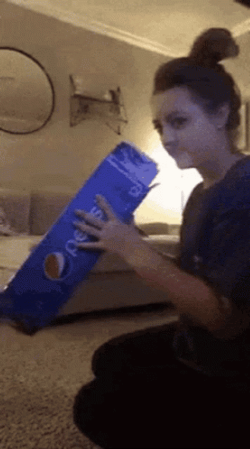 Funny Memes Hyperactive Cat GIF