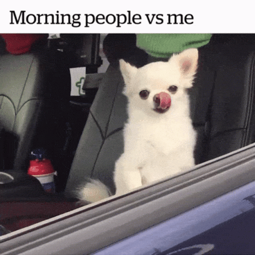 Funny Memes Morning Tired GIF