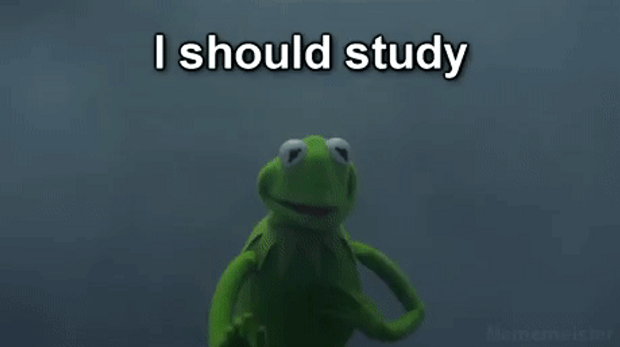 Funny Memes Study Life Kermit Frog GIF