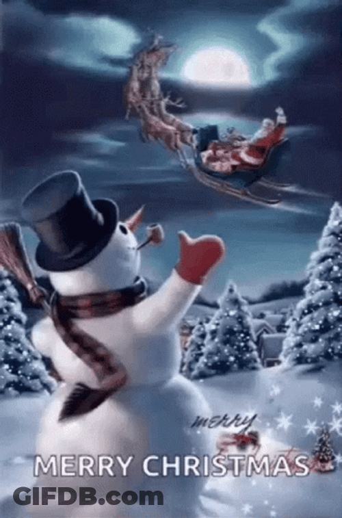 Funny Merry Christmas GIF