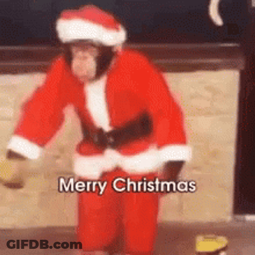 Funny Merry Christmas Monkey Santa Suit GIF