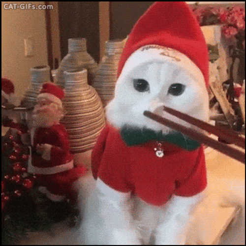 Funny Merry Christmas Santa Cat Chopsticks GIF