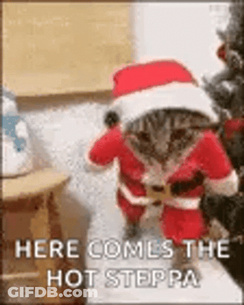 Funny Merry Christmas Santa Cat Walking GIF