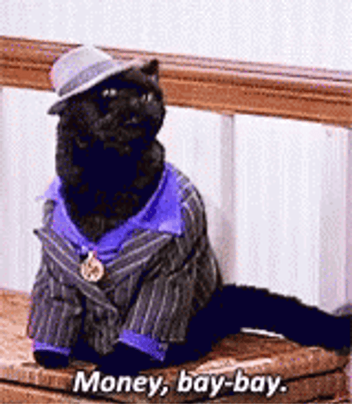Funny Money Cat In Suit GIF