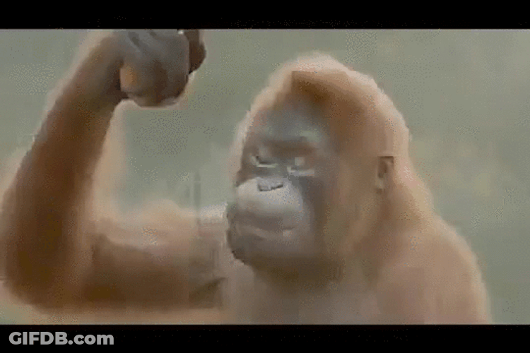 Funny Monkey Dance Evolution GIF