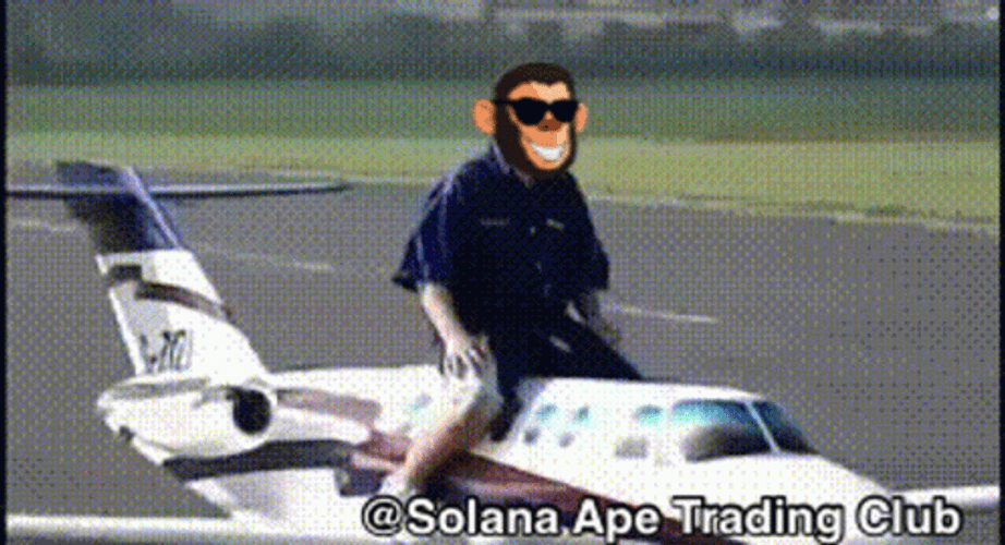 Funny Monkey Face Meme Ride On Plane GIF