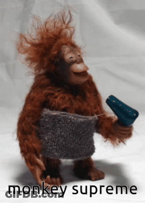 Funny Monkey Money Supreme GIF