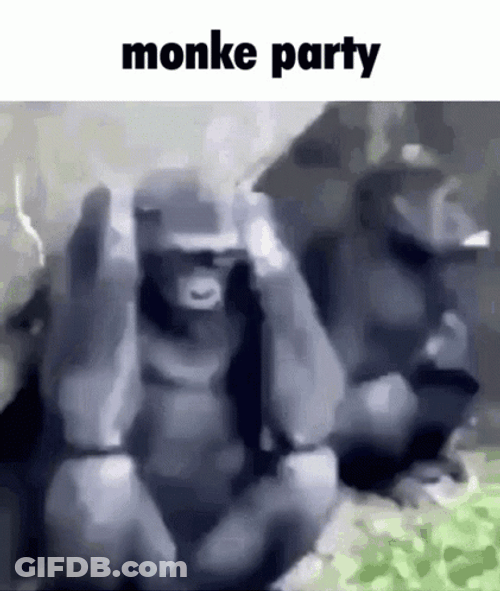 Funny Monkey Party Meme GIF