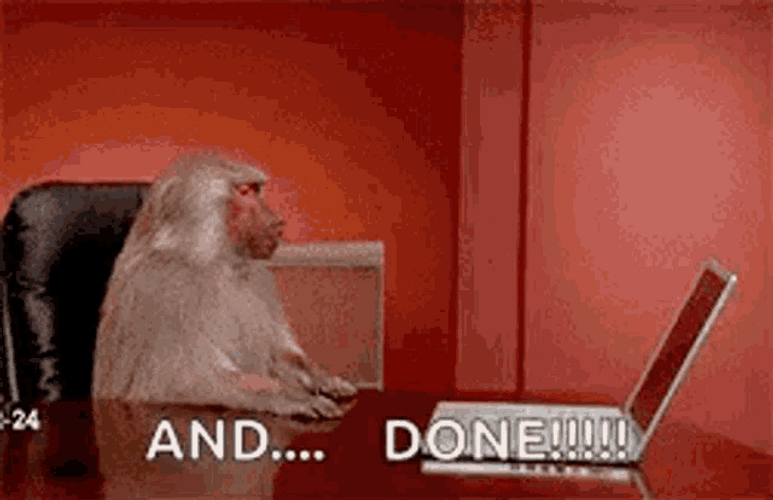 Funny Monkey Throws The Laptop And Done GIF