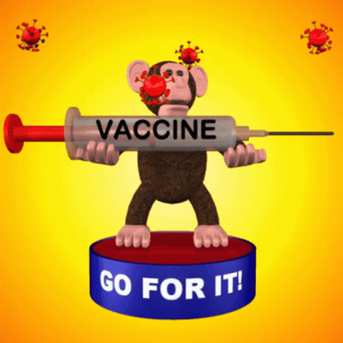 Funny Monkey Vaccine Go For It GIF