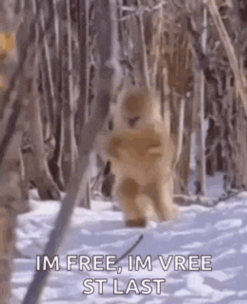 Funny Monkey Walking Im Coming GIF