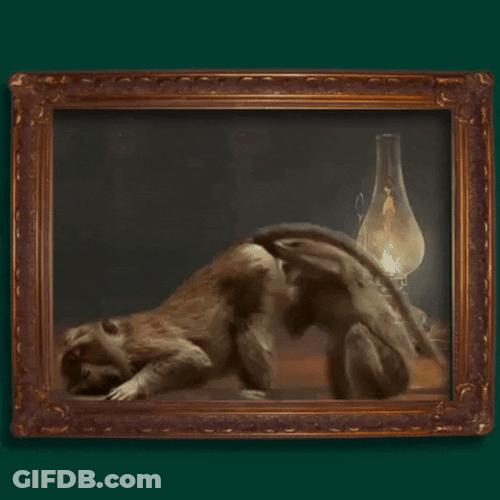 Funny Monkeys Looking For Something GIF