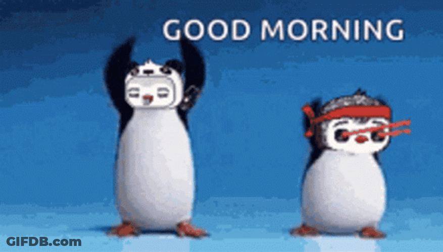 Funny Morning Dancing Penguins GIF