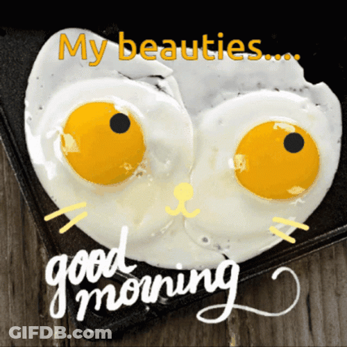 Funny Morning Sunny Side Up Kitty GIF