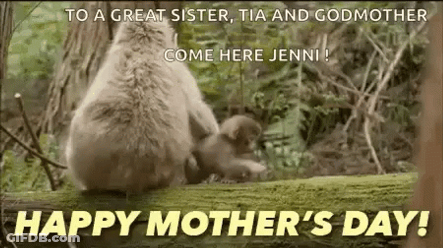 Funny Mothers Day Monkey GIF