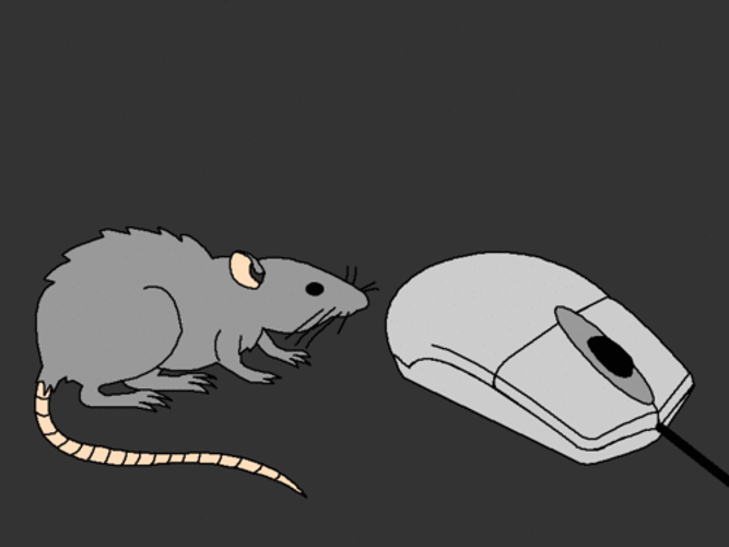 Funny Mouse Kissing A Computer Mouse GIF