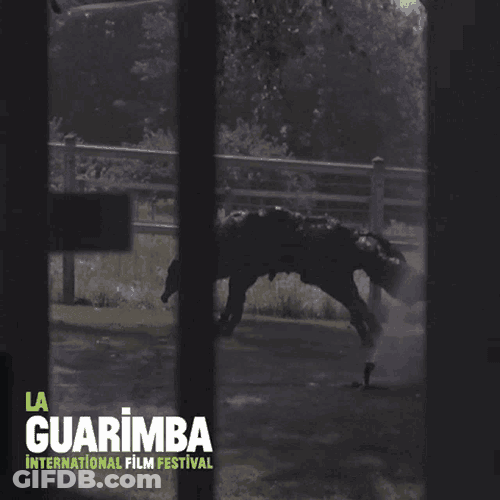 Funny Movie GIF