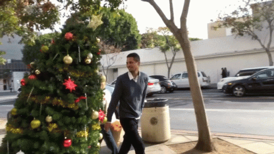 Funny Moving Christmas Tree GIF