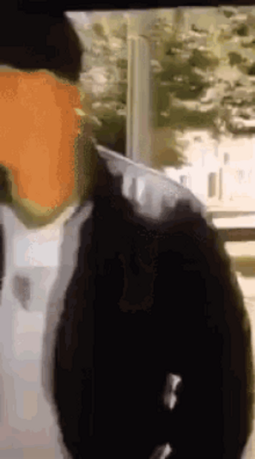 Funny Muslim Woman GIF