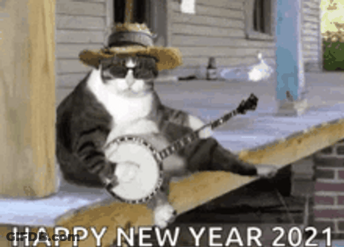 Funny New Year Cat Playing Guitar GIF