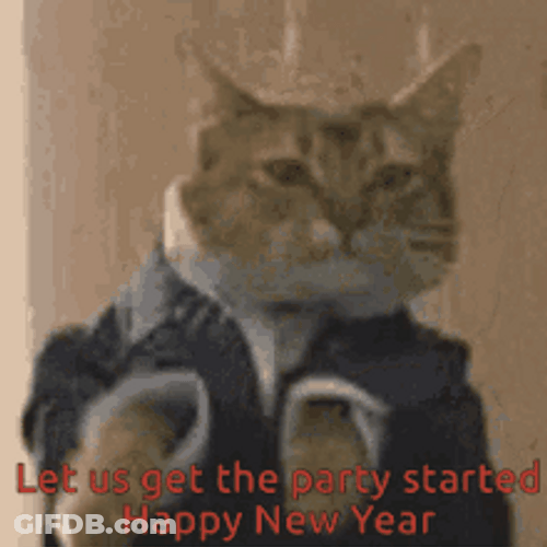 Funny New Year Cat Wearing Coat And Dancing GIF