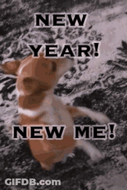 Funny New Year Happy And Dancing Dog GIF