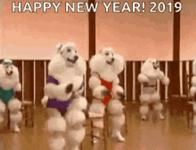 Funny New Year Poodle Dogs Dancing GIF