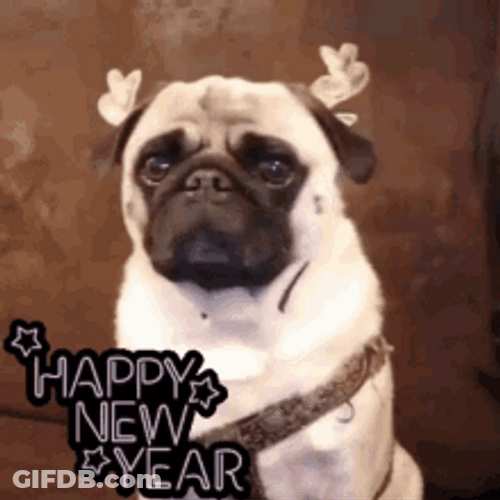 Funny New Year Reindeer Pug Face GIF