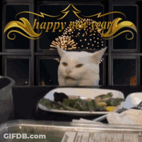 Funny New Year Smudge The Cat Meme GIF