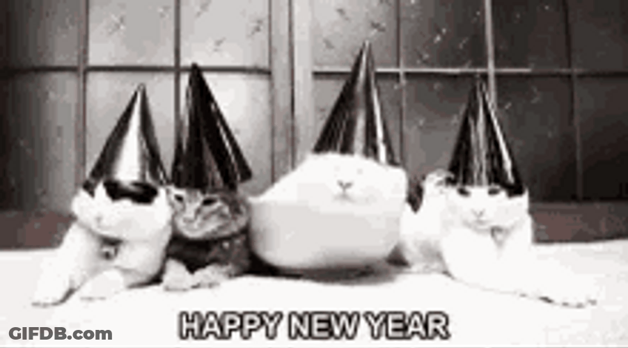 Funny New Year Tired Cats With Party Hats GIF