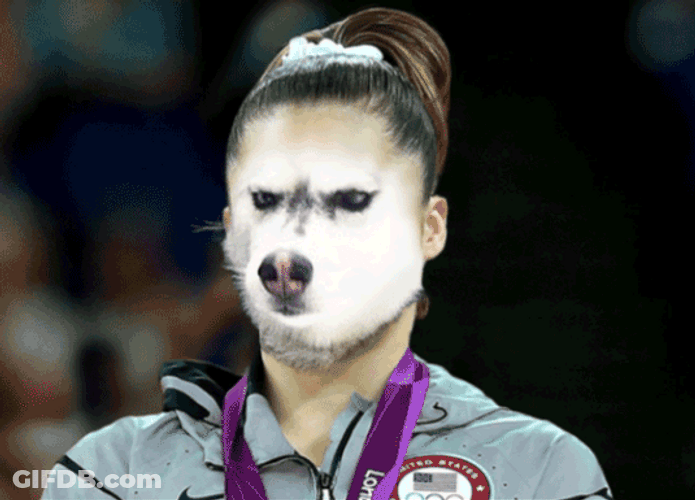 Funny Not Impressed Wolf GIF